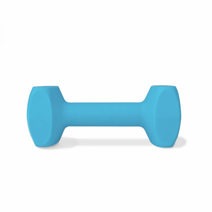 Juguete de adiestramiento Coachi TRAINING DUMBBELL Azul