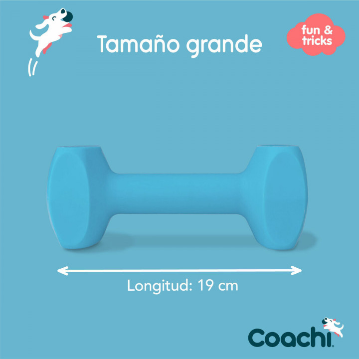 Training toy Coachi TRAINING DUMBBELL Blue