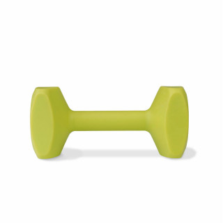 Jouet de dressage Coachi TRAINING DUMBBELL