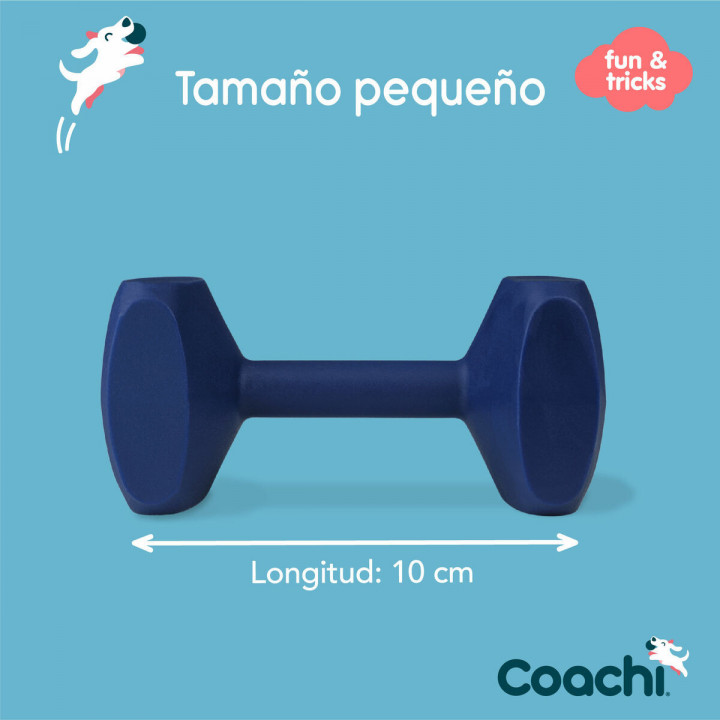 Training toy Coachi TRAINING DUMBBELL Blue