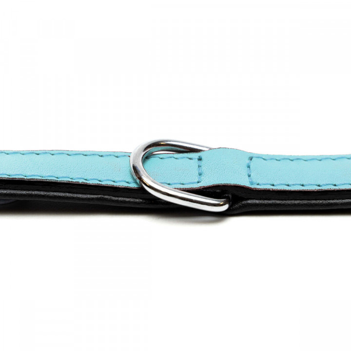 Dog collar Gloria 30 cm Padded Leather Blue