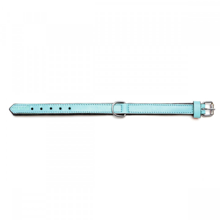 Hundehalsband Gloria 30 cm Polsterung Leder Blau