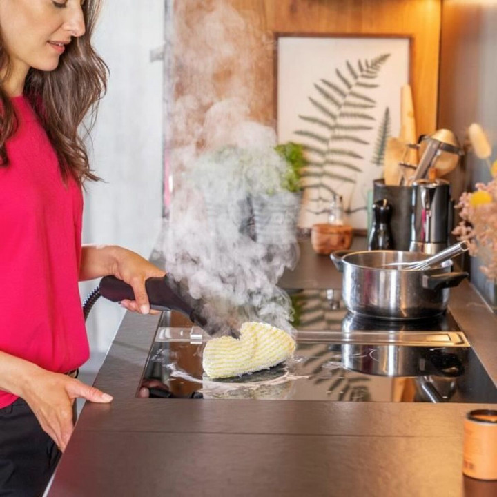 Reiniger Kärcher Dampfgarer 1500 W