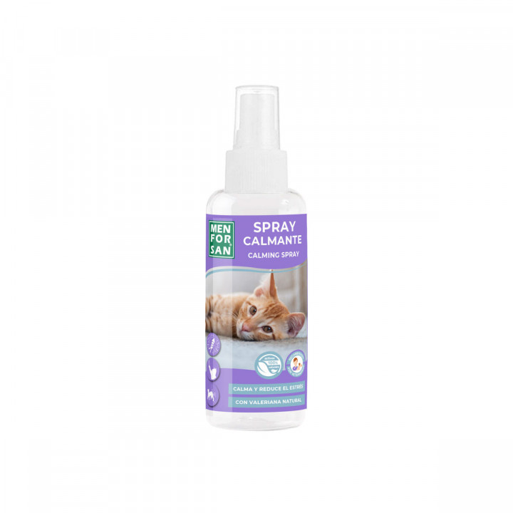 Crema Calmante Menforsan 60 ml