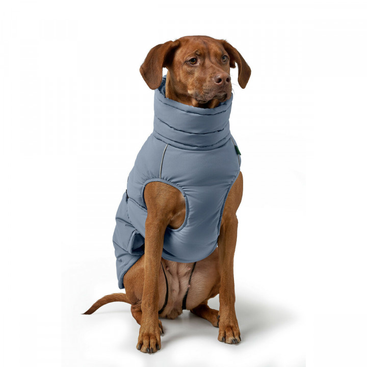 Pet's clothing Hunter PAXSON Blue Polyester