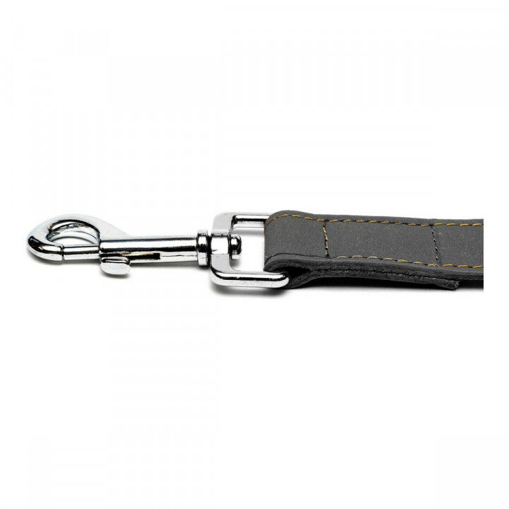 Dog Lead Gloria Oasis Black (2.1 x 100 cm)