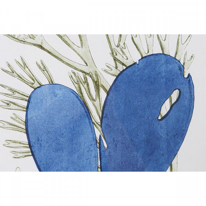 Quadro Home ESPRIT Cristallo Abete 35 x 2,5 x 45 cm