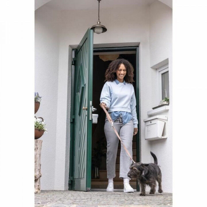 Verrouillage intelligent ABUS LOXERIS One CFA4100 S Gris Métal 17 x 9 x 29 cm