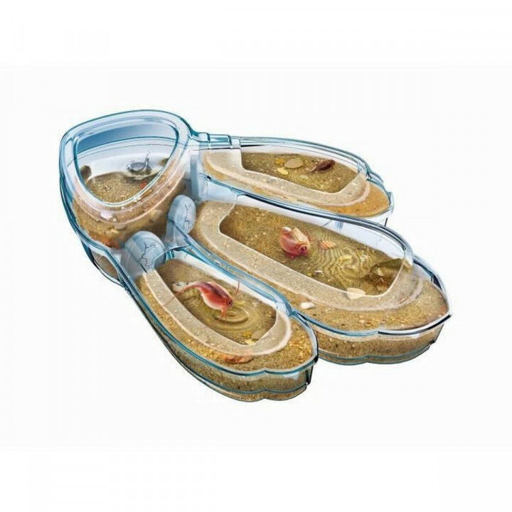 Science Game Clementoni Triops Les animaux préhistoriques FR