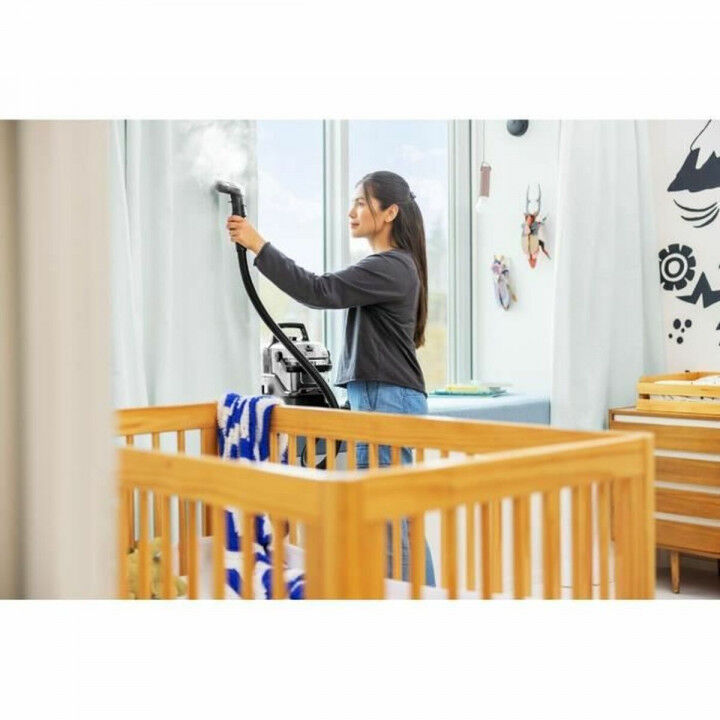 Aspirateur Bissell Gris 1000 W