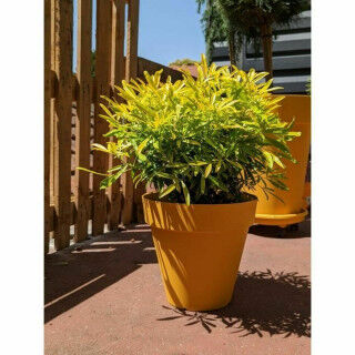 Pot Riviera Jaune Ø 60 cm