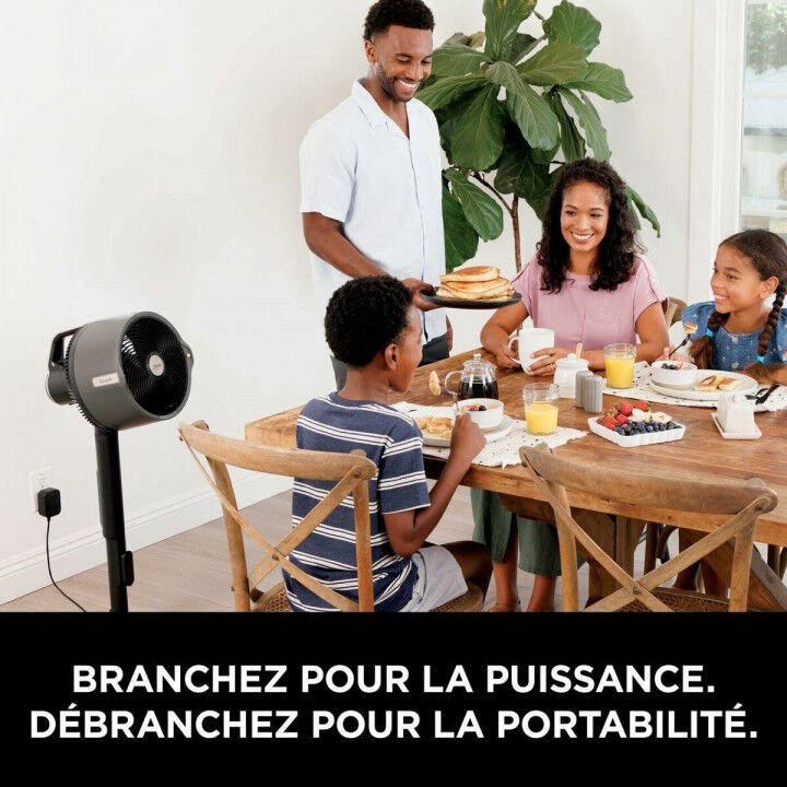 Ventilateur sur Pied Shark 36 W