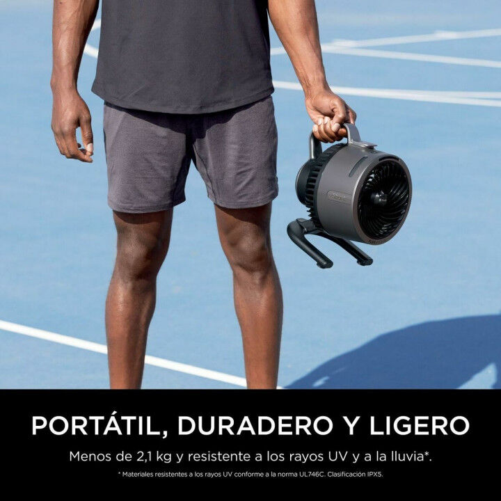 Table Fan Shark Grey