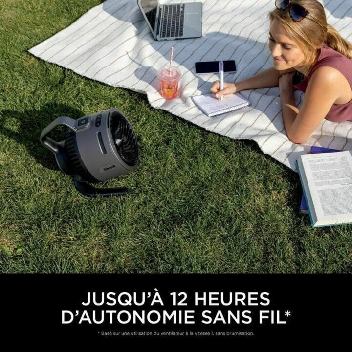 Ventilateur de Bureau Shark Gris