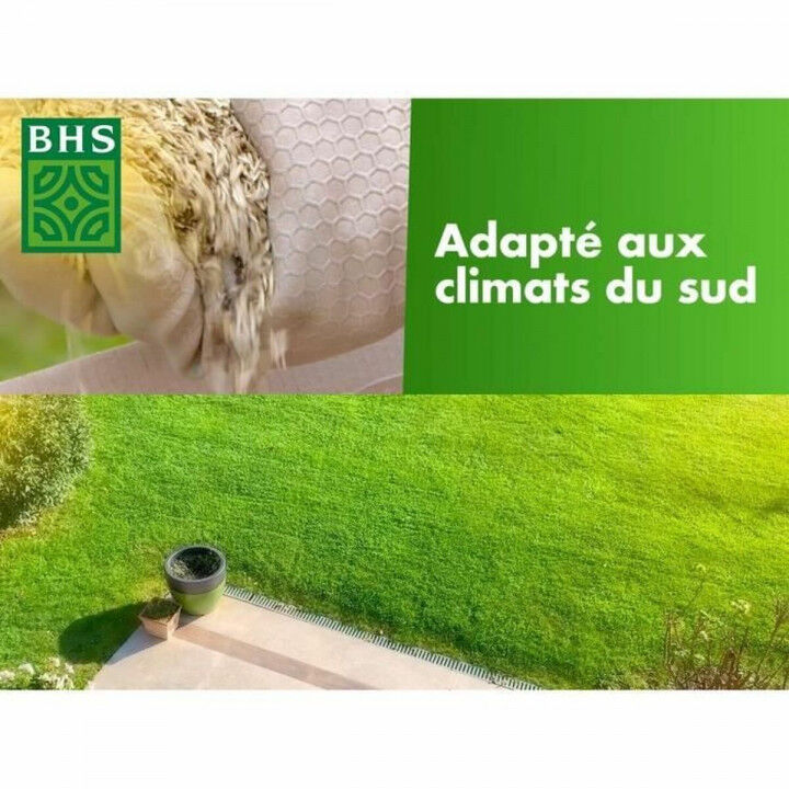 Seeds BHS 10 kg