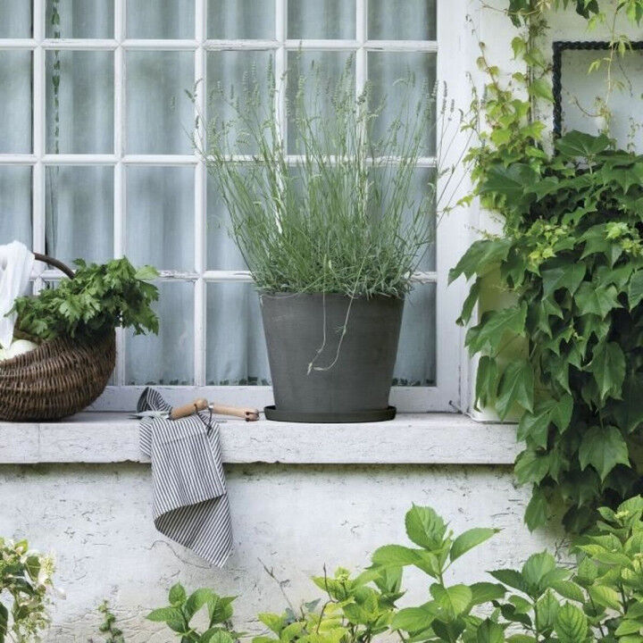 Bloempot schaal Deroma