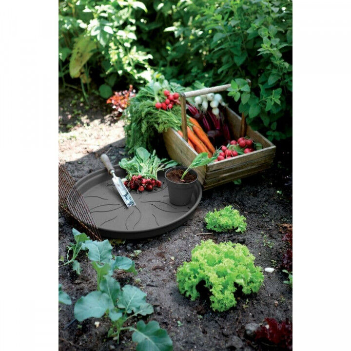 Blumentopf Elho Schwarz Kunststoff rund