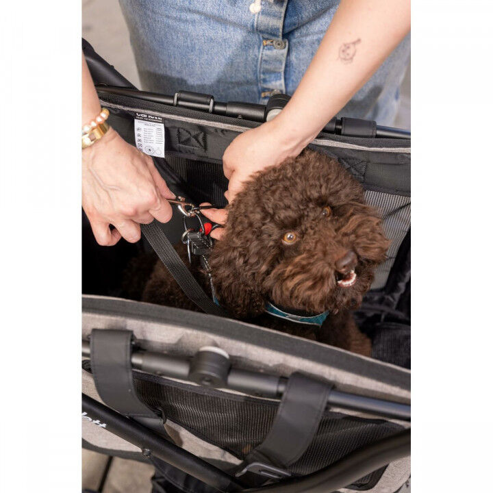 Warenkorb Carlett CUBE P RUBY Rot