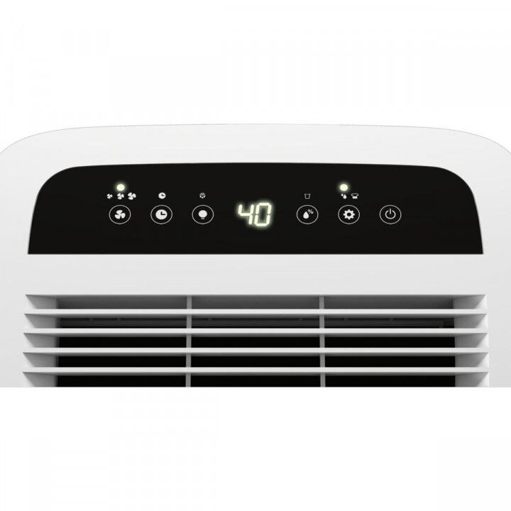 Dehumidifier Olimpia Splendid 02060