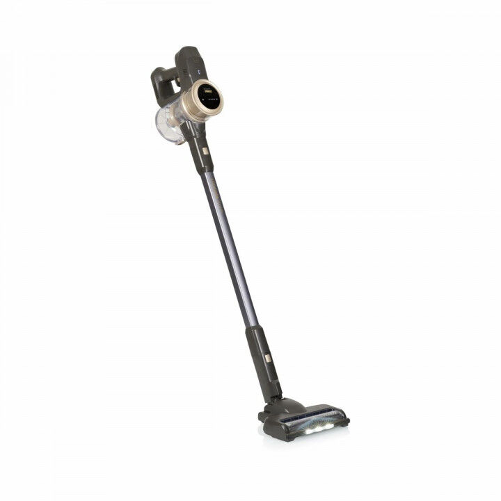 Aspirateur balai Princess 339395 300 W