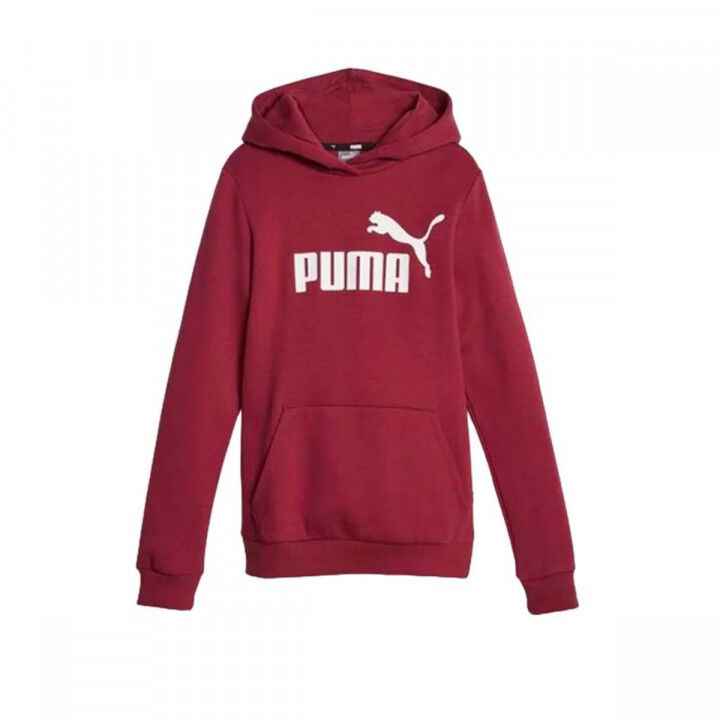 Jungen Sweater mit Kapuze Puma Ess Braun