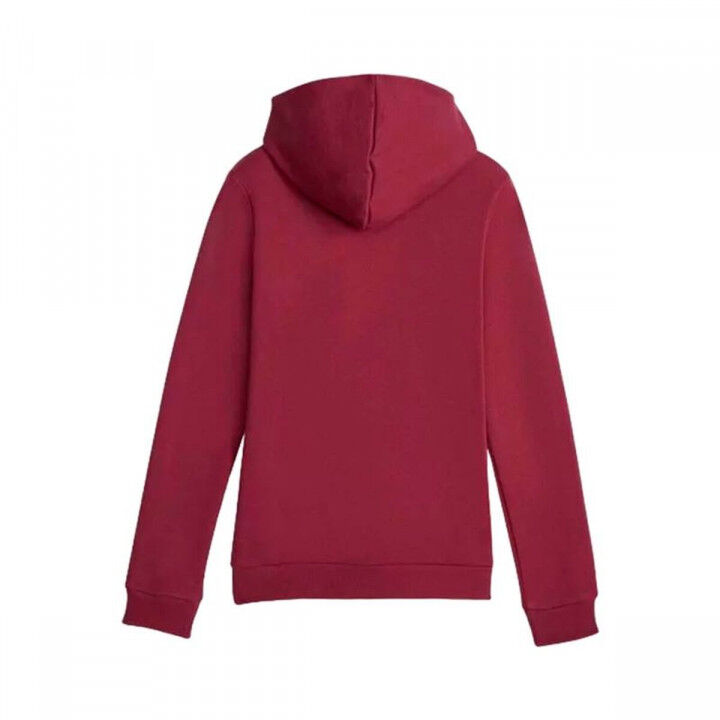 Jungen Sweater mit Kapuze Puma Ess Braun