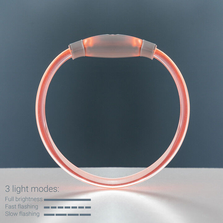 Collare LED per Animali Domestici Petlux InnovaGoods