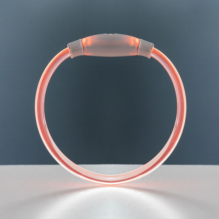 Collar LED para Mascotas Petlux InnovaGoods