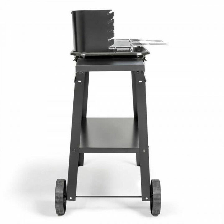 Barbecue Portable Livoo Stainless steel