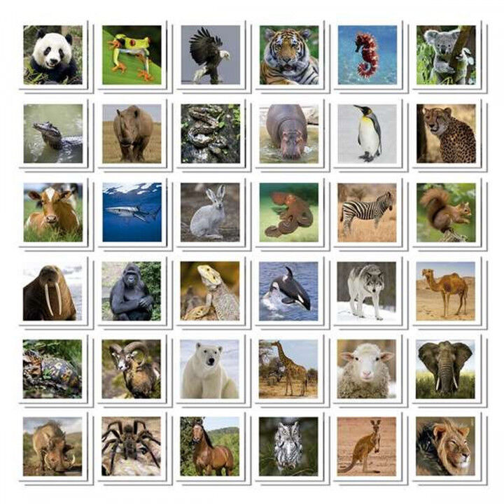 Gioco Memory Educa Identic Memo Animals