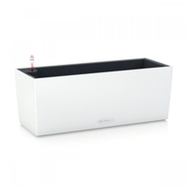 Plant pot Lechuza White Black polypropylene