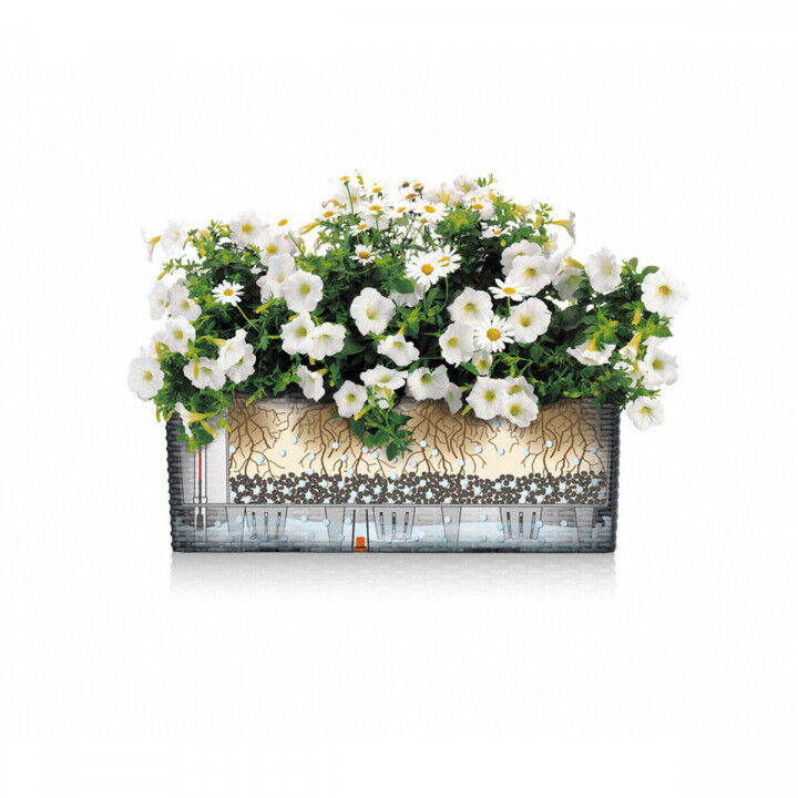 Bloempot Lechuza Wit Zwart Polypropyleen