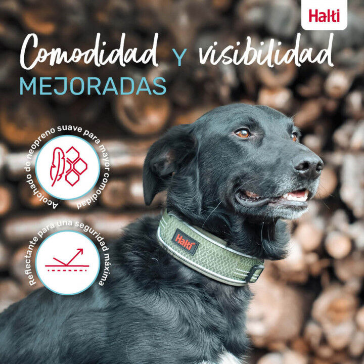 Hondenhalsband Company of Animals Groen