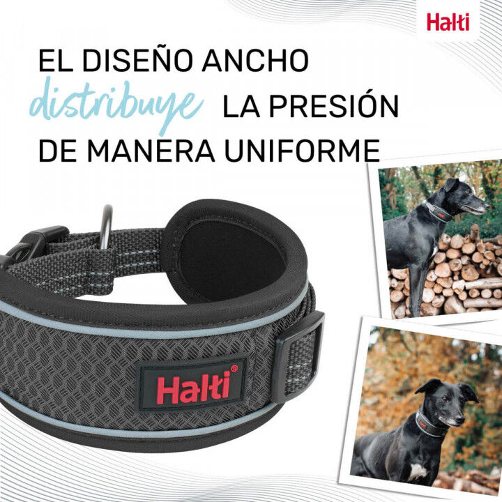 Dog collar Company of Animals Grey