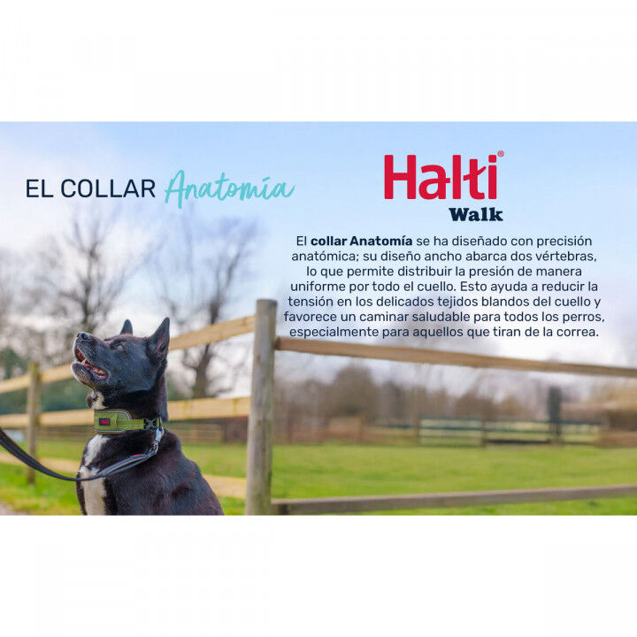 Dog collar Company of Animals Green