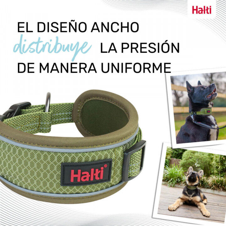 Collier pour Chien Company of Animals Vert