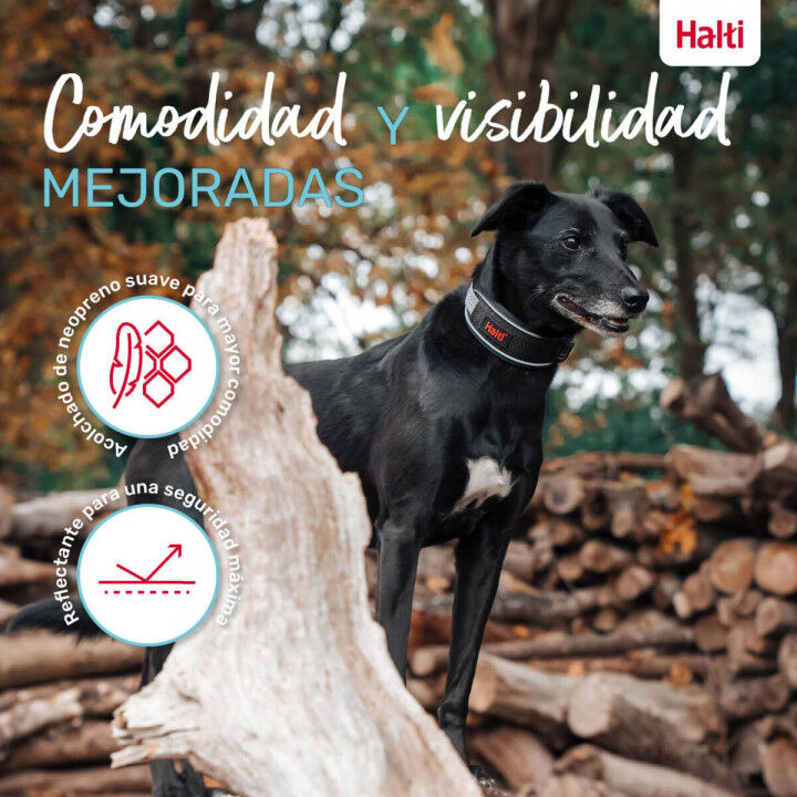 Dog collar Company of Animals Grey