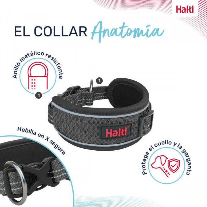 Collier pour Chien Company of Animals Gris