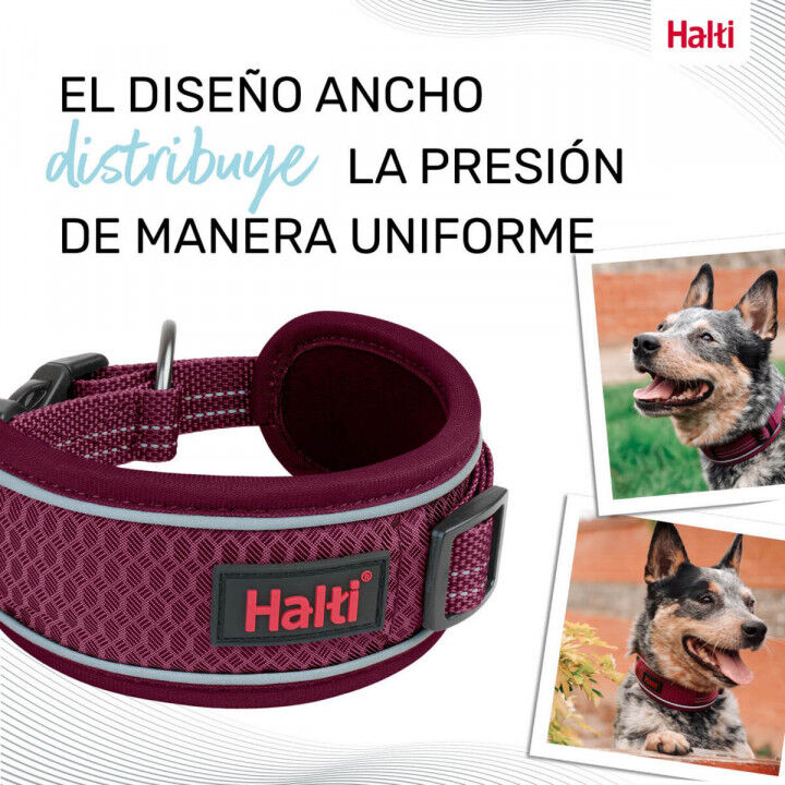 Dog collar Company of Animals