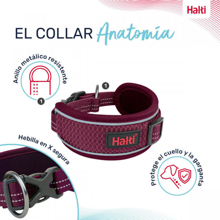 Dog collar Company of Animals