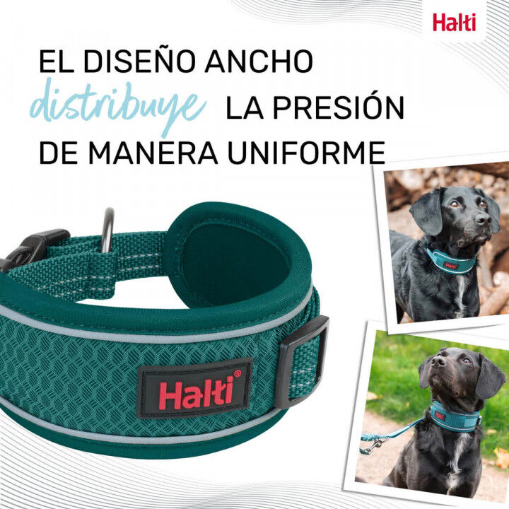 Collare per Cani Company of Animals Turchese