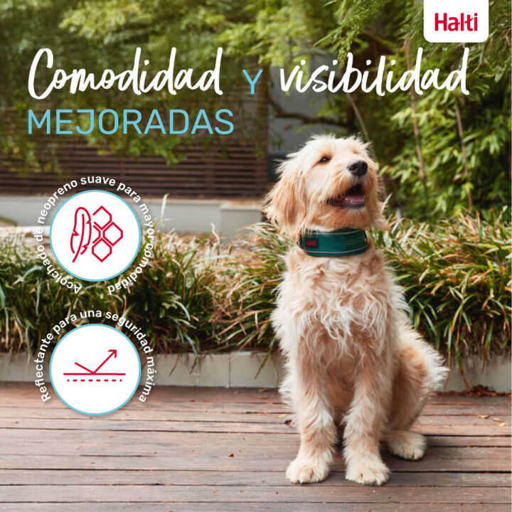 Collar para Perro Company of Animals Turquesa