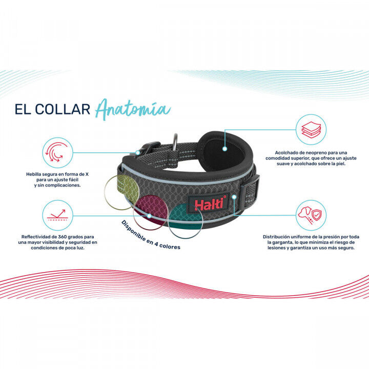 Collar para Perro Company of Animals Gris