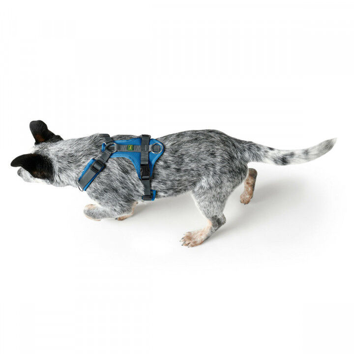 Imbracatura per Cani Hunter Maldon Up Azzurro 46-82 cm S/M