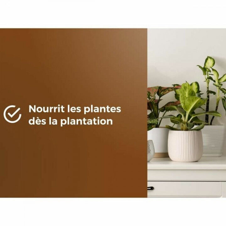 Terreau d'empotage OR BRUN 6 L