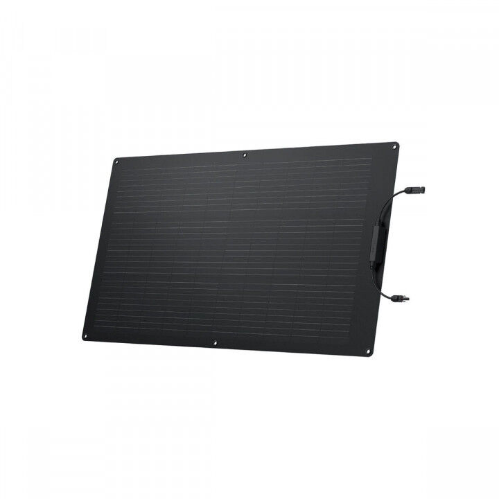 Fotovoltaïsch zonnepaneel Ecoflow ZMS330 100 W
