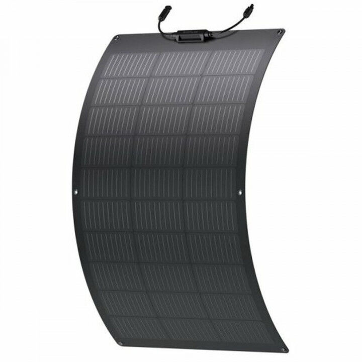 Fotovoltaïsch zonnepaneel Ecoflow ZMS330 100 W