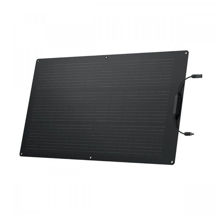 Fotovoltaïsch zonnepaneel Ecoflow ZMS330 100 W