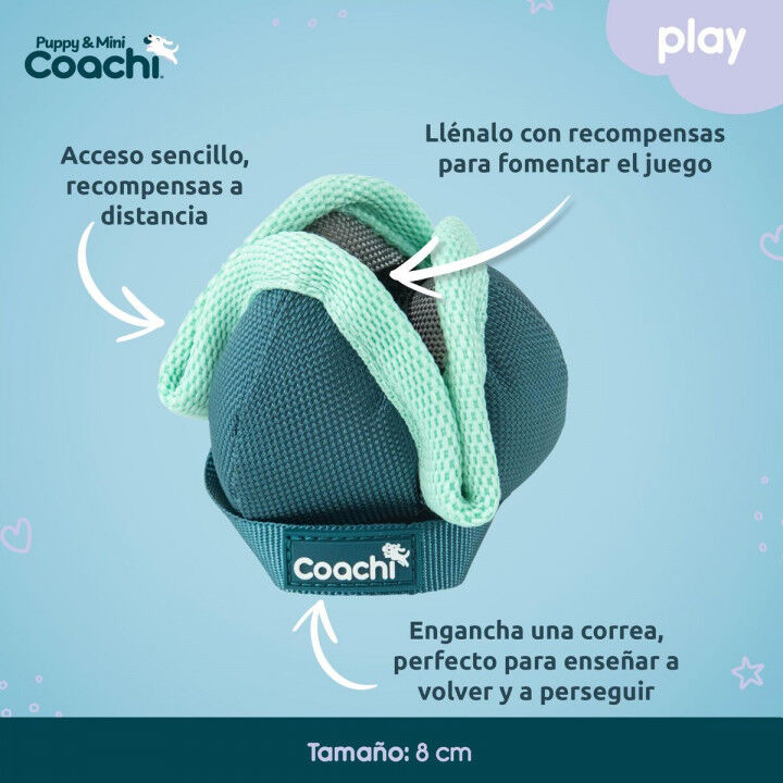Arnés para Perro Coachi