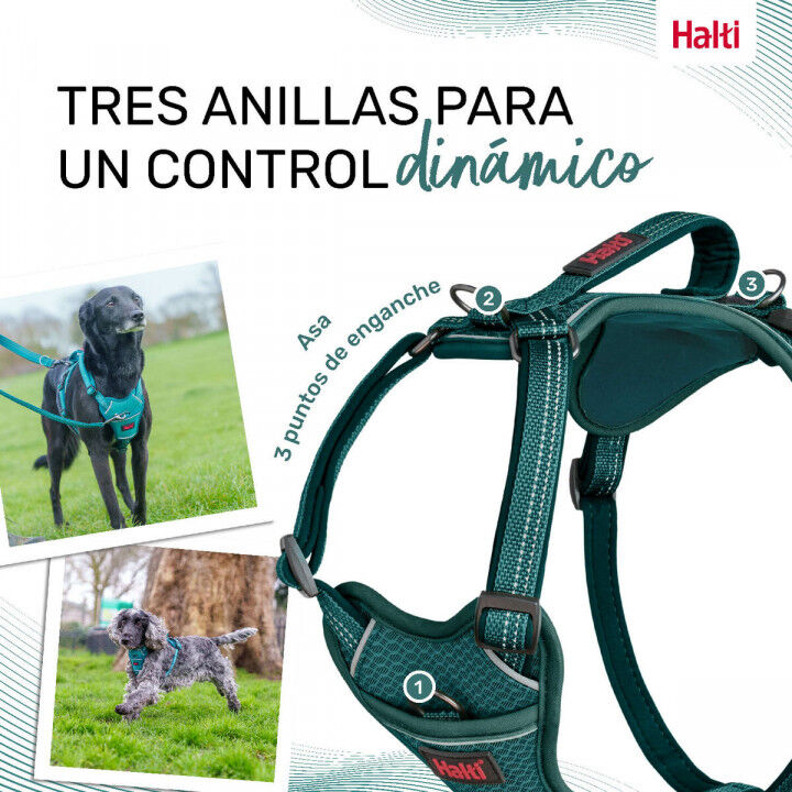 Dog Harness Company of Animals Turquoise S 28-42 cm